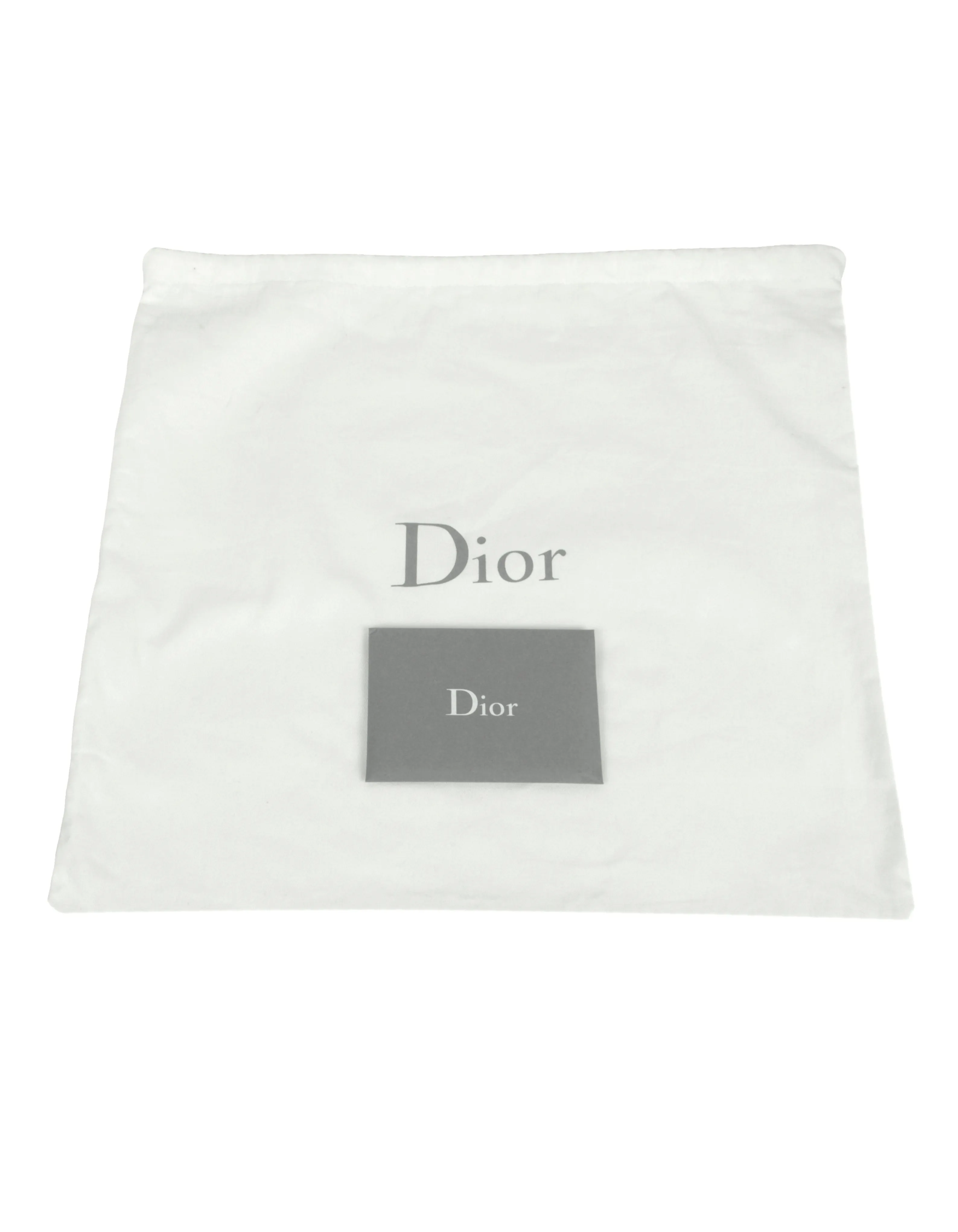 Christian Dior 2021 Mizza Embroidery Leopard Print Saddle Bag