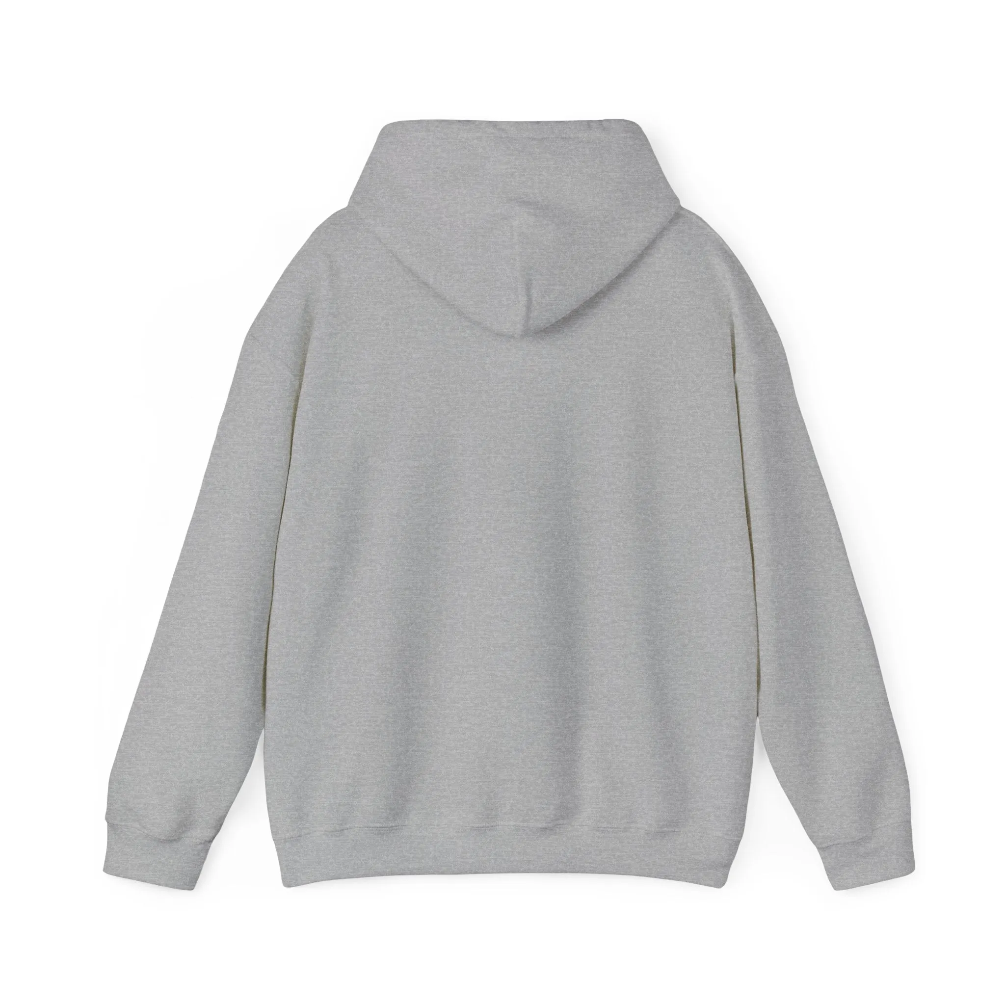 Pink Blue Pastel Teddy Bear Hoodie