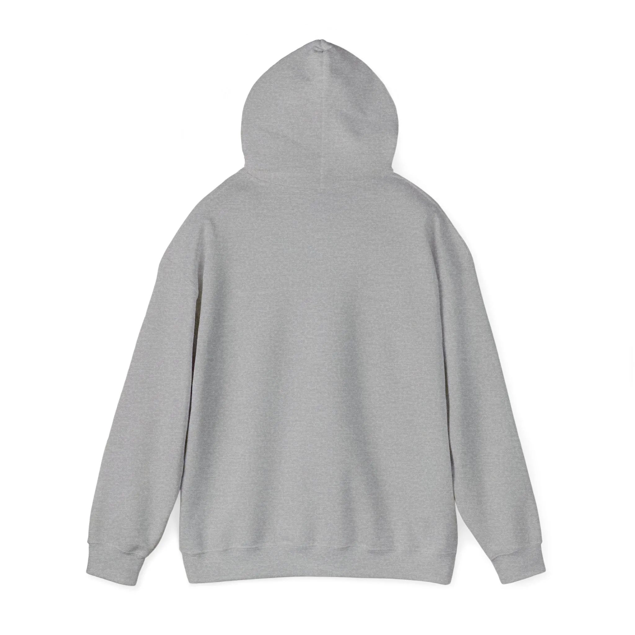 Pink Blue Pastel Teddy Bear Hoodie