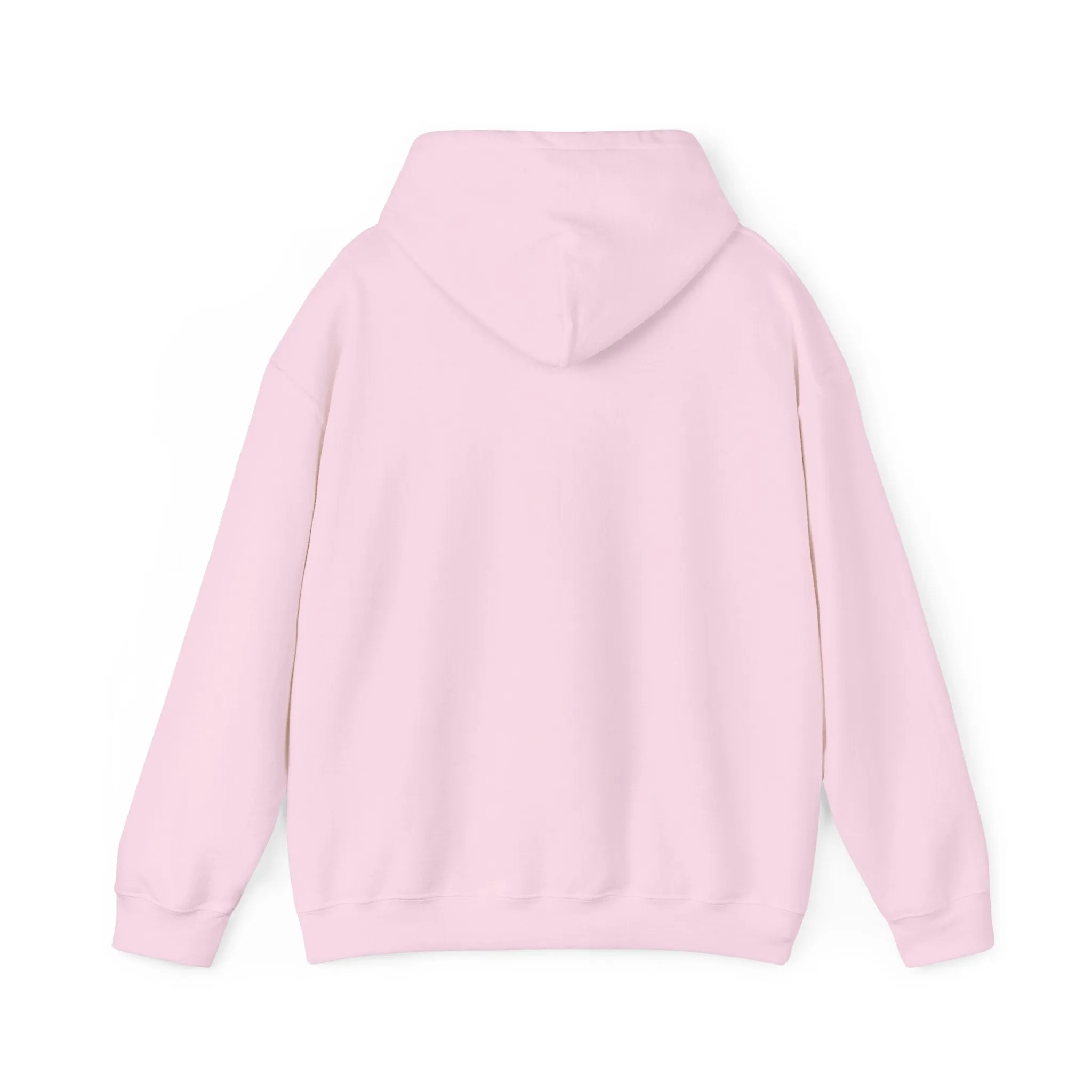 Pink Blue Pastel Teddy Bear Hoodie