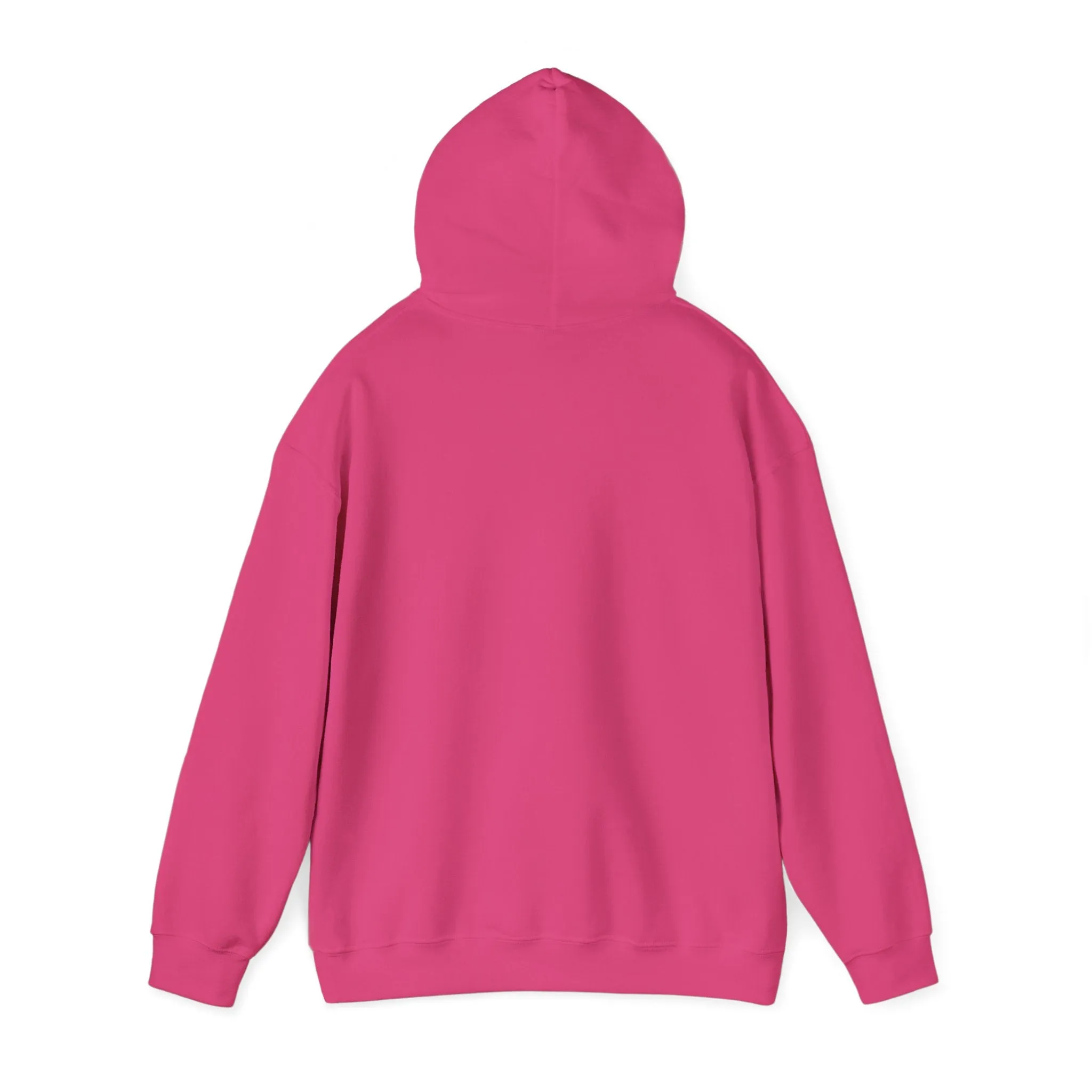 Pink Blue Pastel Teddy Bear Hoodie