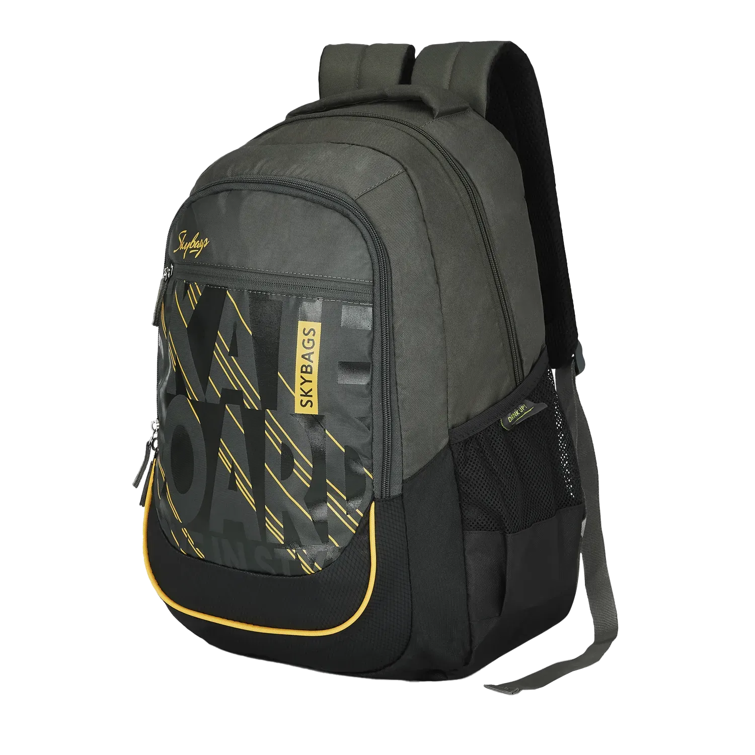 Skybags Chester  Laptop Backpack  Black