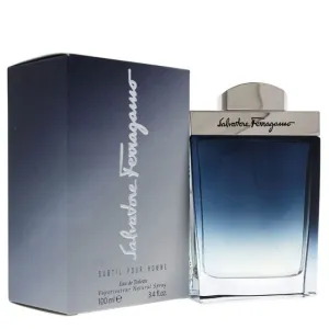 Subtil Pour Homme by Salvatore Ferragamo Eau de Toilette